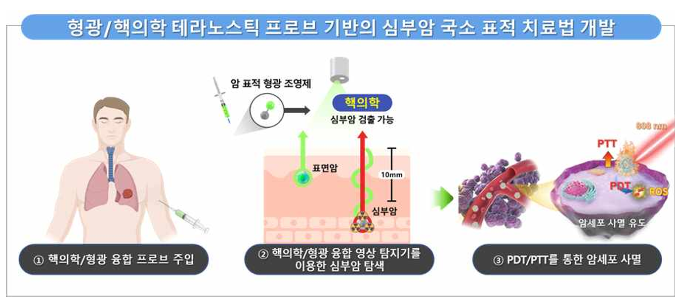 Development of a Localized Targeted Therapy for Deep-Seated Cancer Based on Fluorescence/Nuclear Medicine Theranostic Probes