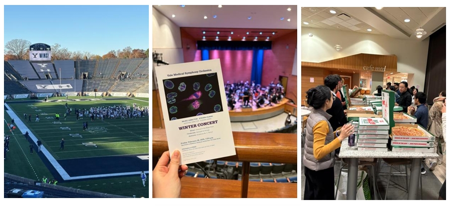 3.jpeg