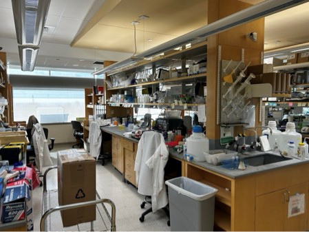Lab_has_2_bay_areas_for_8_people.jpg