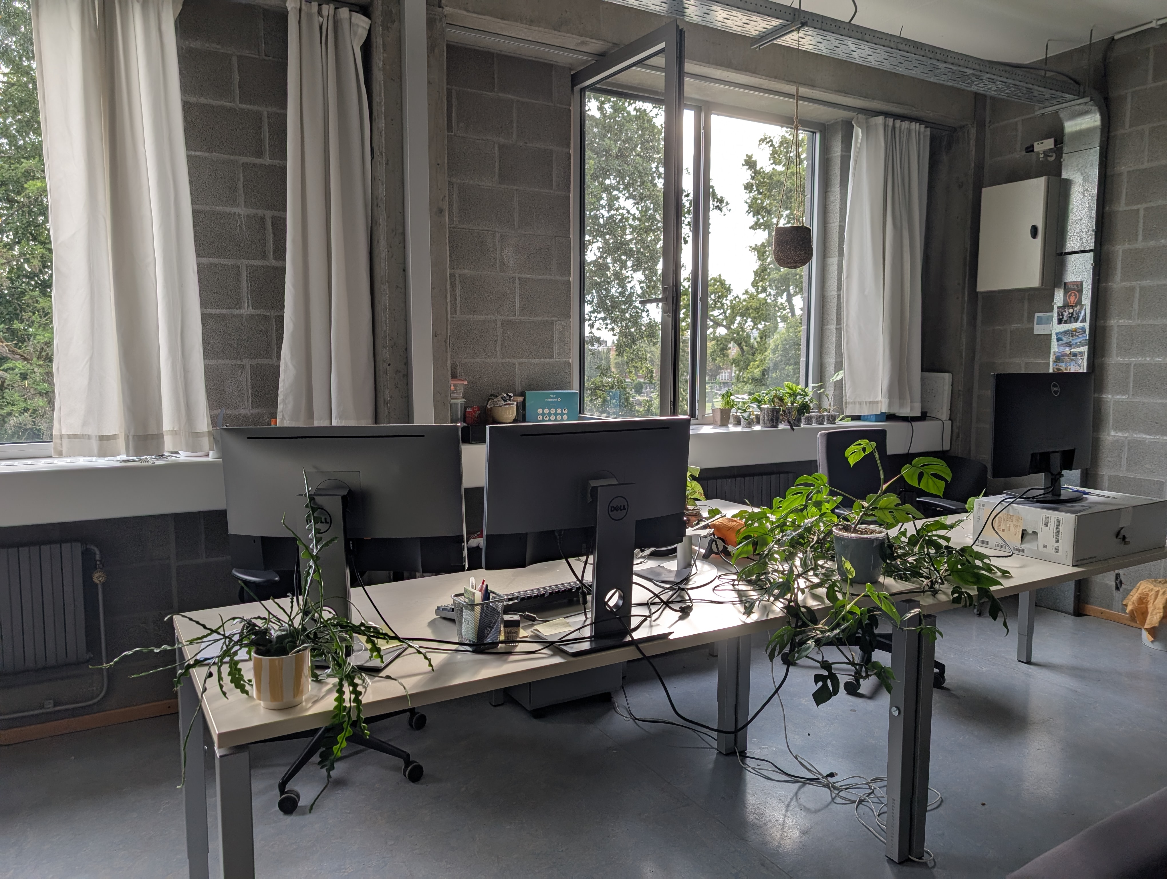 office.jpg